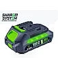 Battery Share+ System 20 V 2.0 Ah Li-Ion