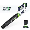 Cordless Leaf Blower 20 V, 160 km/h, 4.0 Ah Battery and Charger, Wuber Tools