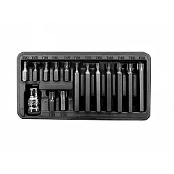 Bit set 15 Pieces, T20-T55, Length 3075 mm, Proline