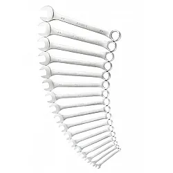 17Pc Combination Wrench set