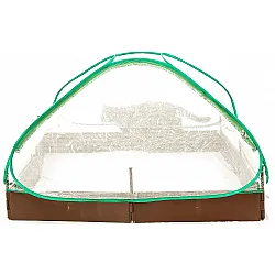 Plastväxthus, 115 x 115 x 60 cm litet odlingstält för utomhusbruk, växthustält med transparent folie