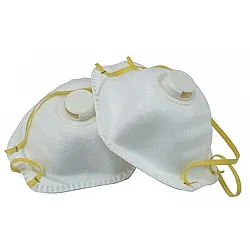 Protective Dust Masks 2 Pack, Beast