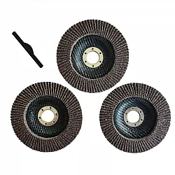 Lamellrondell P100125 mm, 3-pack, Beast