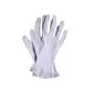 Bomullshandskar 12 par, beige arbetshandskar, CE