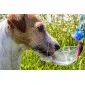 Compact water bowl for dogs