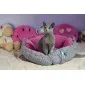 Dog & Cat Bed Cushion DAISY