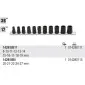 Cutting Socket set 8–19 mm 3/8 & 1/211 pcs, for Damaged Nuts, BETA Tools
