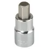 HEX Skruvbits 17 mm, Proline