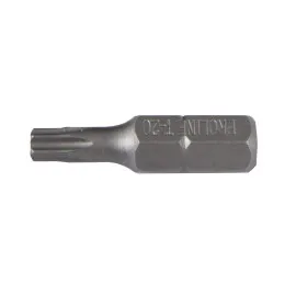 TORX Bitar 125 mm, 10st, T40 med Hål, Proline