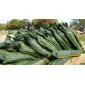 Sandbag 11 pcs, for Flood Protection 25 x 100 cm, 15 kg