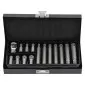 Ribe Bit set 15-Piece, YATO