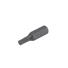 TORX-Bitar 125 mm - 10 st, T6, Proline