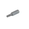 TORX Bits with Security Hole T1025 mm 10pcs, Proline