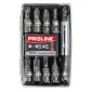 10-delars Bitset 1, med Magnetiskt Handtag, Proline