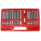 TORX Bit Sats, 40St Cv, T20-T55, M5-M12, HEX 4-12