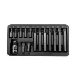 BIT sats 15 st. 10 mm, TORX SEC. T20-T55, l=3075 mm, Proline