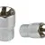 Hylsa 1/4 TORX E7, Proline