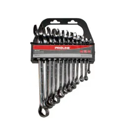 Combination Wrench set 6-17 mm, 6 Pieces, Proline