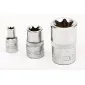 TORX Socket set 11 Pieces - 1/4, 3/8, 1/2, TORX E4-E20, Proline