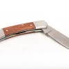 Universalkniv 80 mm, Hopfällbar med Trähandtag, Rostfritt Stål, Proline