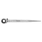 Ratchet Scaffold Spanner 19 x 22 mm, Proline