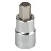 HEX Skruvbits 1/25 mm, l=100 mm, Proline