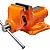Bench Vice 125 mm Swivel 20 kg, Richmann