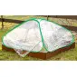 Plastväxthus med hyllor, snygg rund kompaktmodell (sexkantig) diam. 193 cm, höjd 225 cm grön transparent (odlingstält, växthustält)