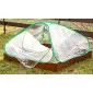 Plastväxthus med hyllor, snygg rund kompaktmodell (sexkantig) diam. 193 cm, höjd 225 cm grön transparent (odlingstält, växthustält)