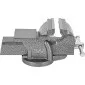 Skruvstycke 100 mm, 6 kg, Proline
