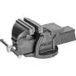 Skruvstycke 125 mm, 9.5 kg, Proline