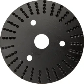 Rasp Disc Flat 125 mm Proline