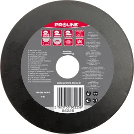 Rasp Disc Flat 125 mm Proline