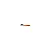 Shoe Brush, Suede/nubuck, (621/6), Coccine