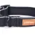 Hundhalsband CLASSIC