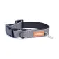 Dog Collar CLASSIC