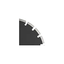 Diamond Disc Laser Granite 300 x 2.8 x 8.7 x 25.4 mm, Proline