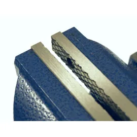 Rotary Locksmith Vice 125 mm, 360° Rotatable Base, Beast