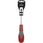 Phillips Screwdriver PH2100 mm, Beast