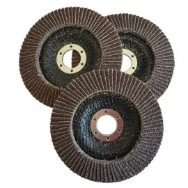 Lamellrondell P60125 mm, 3-pack, diameter 125 mm, Beast