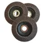 Lamellrondell P60125 mm, 3-pack, diameter 125 mm, Beast