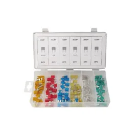 Mini Car Fuses 5-30A, 120-Pack Assortment Box, Beast