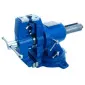 Multifunctional Swivel Vice 100 mm, Beast