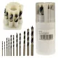 Wood Drill Bit set 3-10 mm, 11 Pieces, Tool Steel, Beast