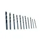 Wood Drill Bit set 3-10 mm, 11 Pieces, Tool Steel, Beast