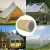 Greenhouse Repair Foil Tape, 50 mm x 10m, Transparent, Beast