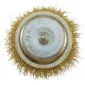 Rotating Steel Brush 6 mm Shaft 100 mm Diameter 4500, Beast