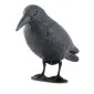 Pigeon Repeller, Durable Black Plastic, 37 cm, Beast