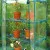 Greenhouse for Terrace and Balcony, Beast