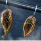 Rökkrokar för fisk, 10st specialutformade krokar i rostfritt stål